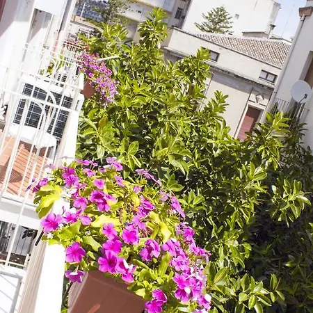 Bed & Breakfast Miro Centro